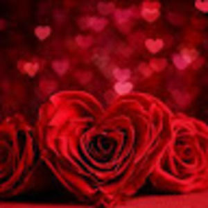 Meet your Posher, Colt